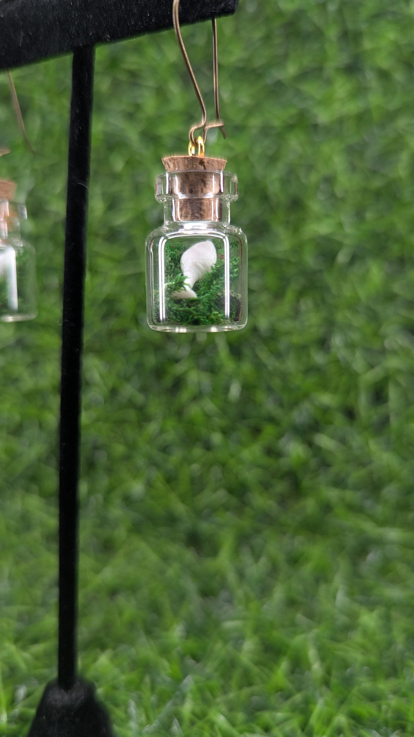 Specimen Plug Earrings