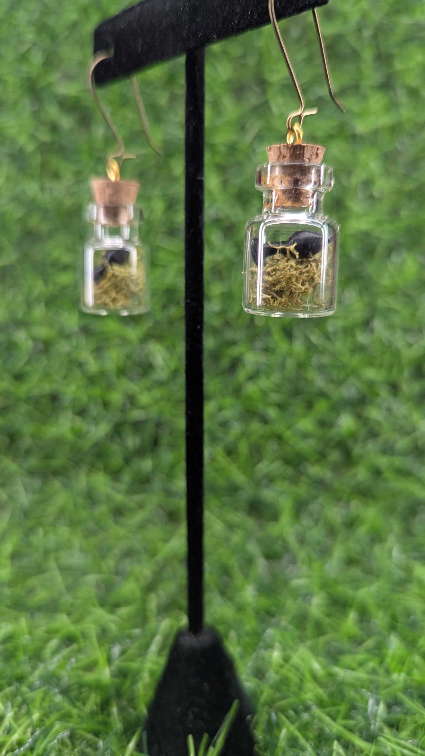 Specimen Plug Earrings