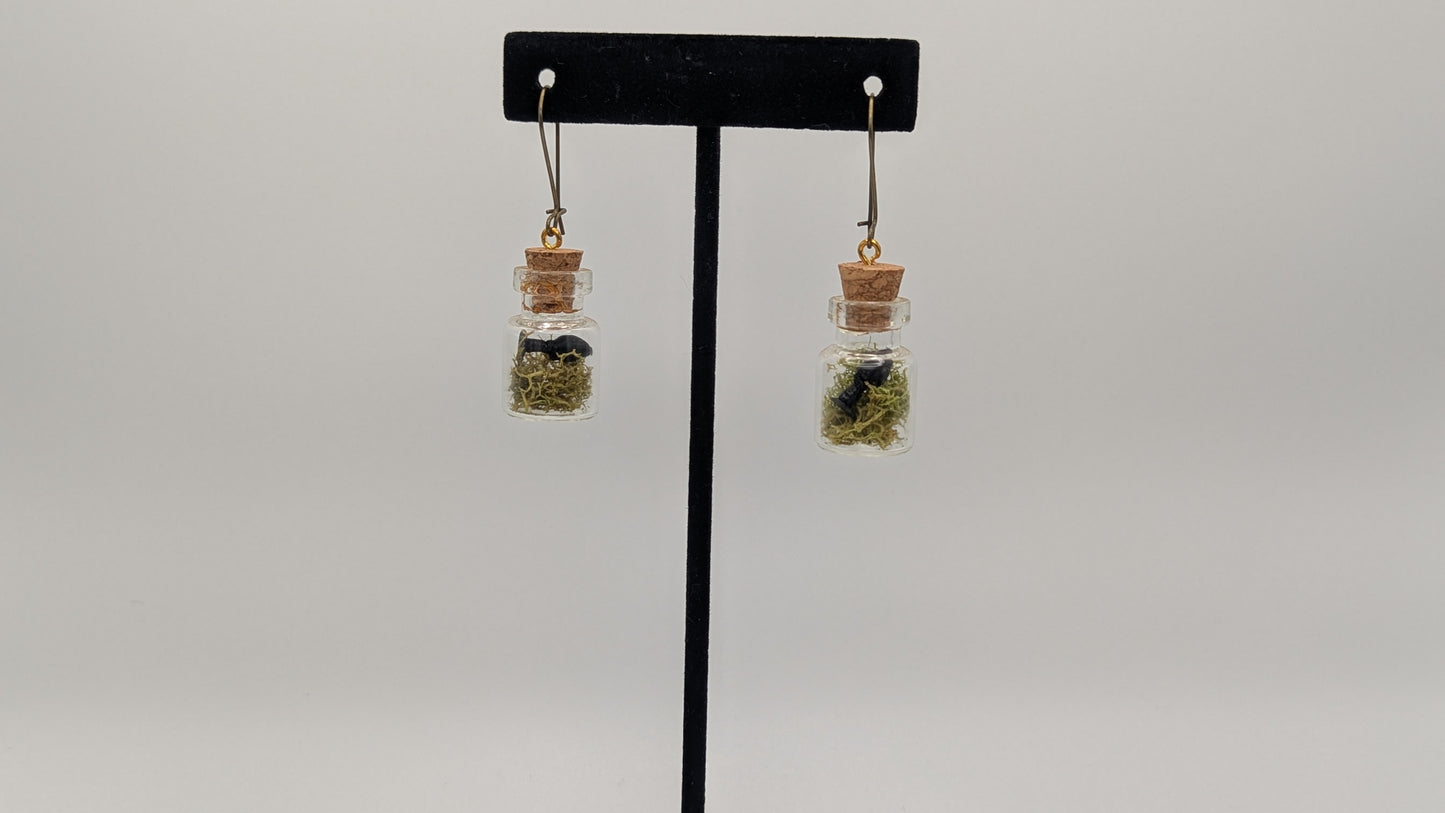 Specimen Plug Earrings